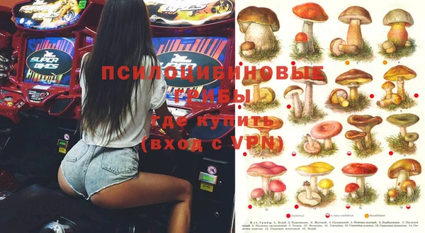 мдпв Лабытнанги