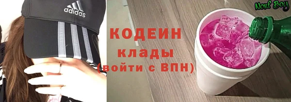 мдпв Лабытнанги