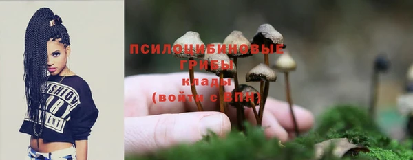 марки lsd Лагань